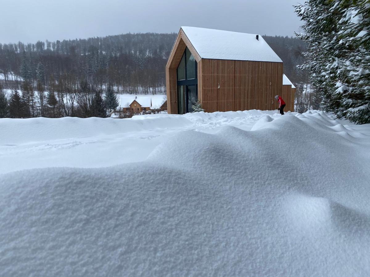 Domki Pod Lasem - Domek Brzozowy Stronie Śląskie Exterior foto
