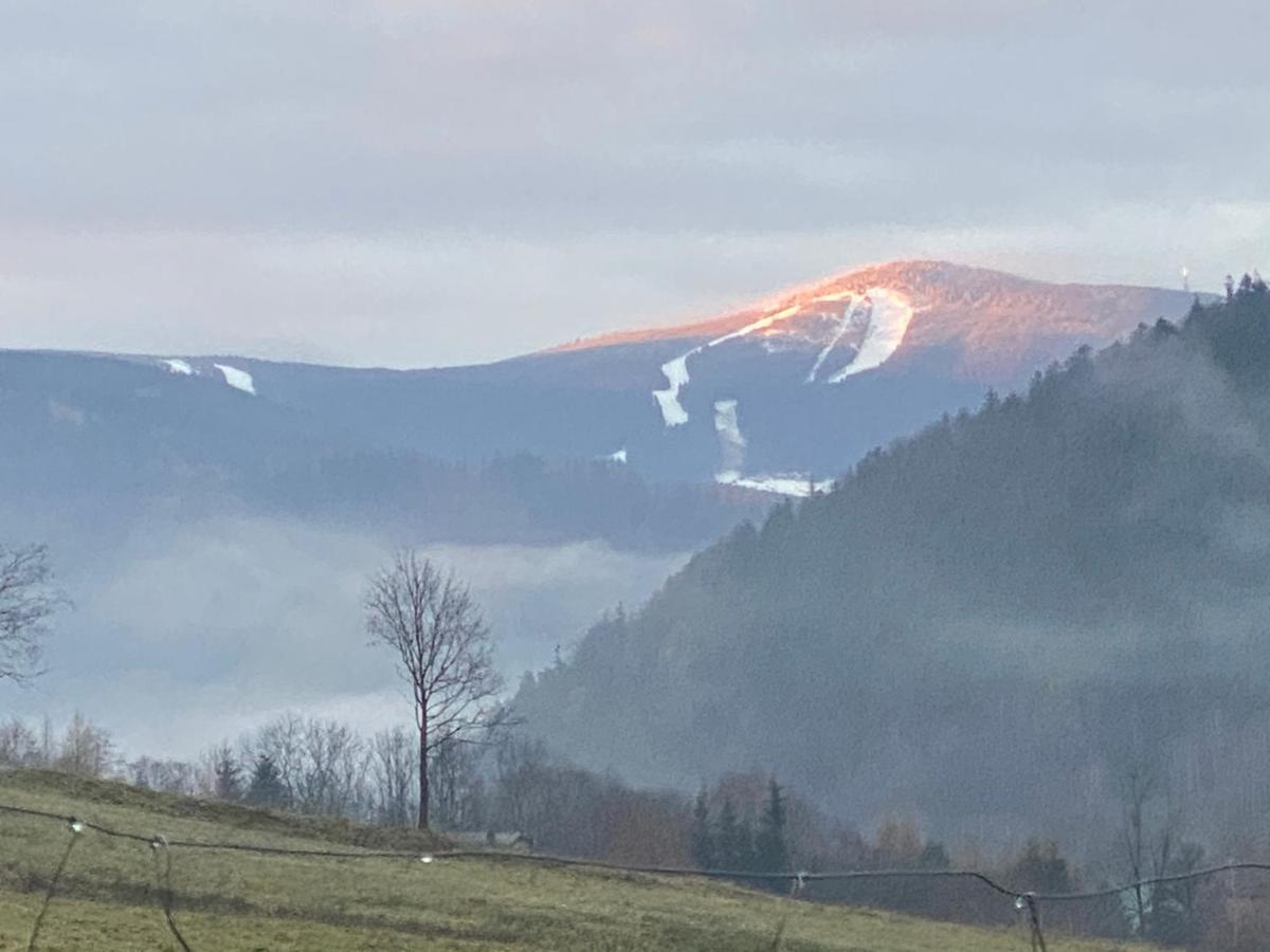 Domki Pod Lasem - Domek Brzozowy Stronie Śląskie Exterior foto