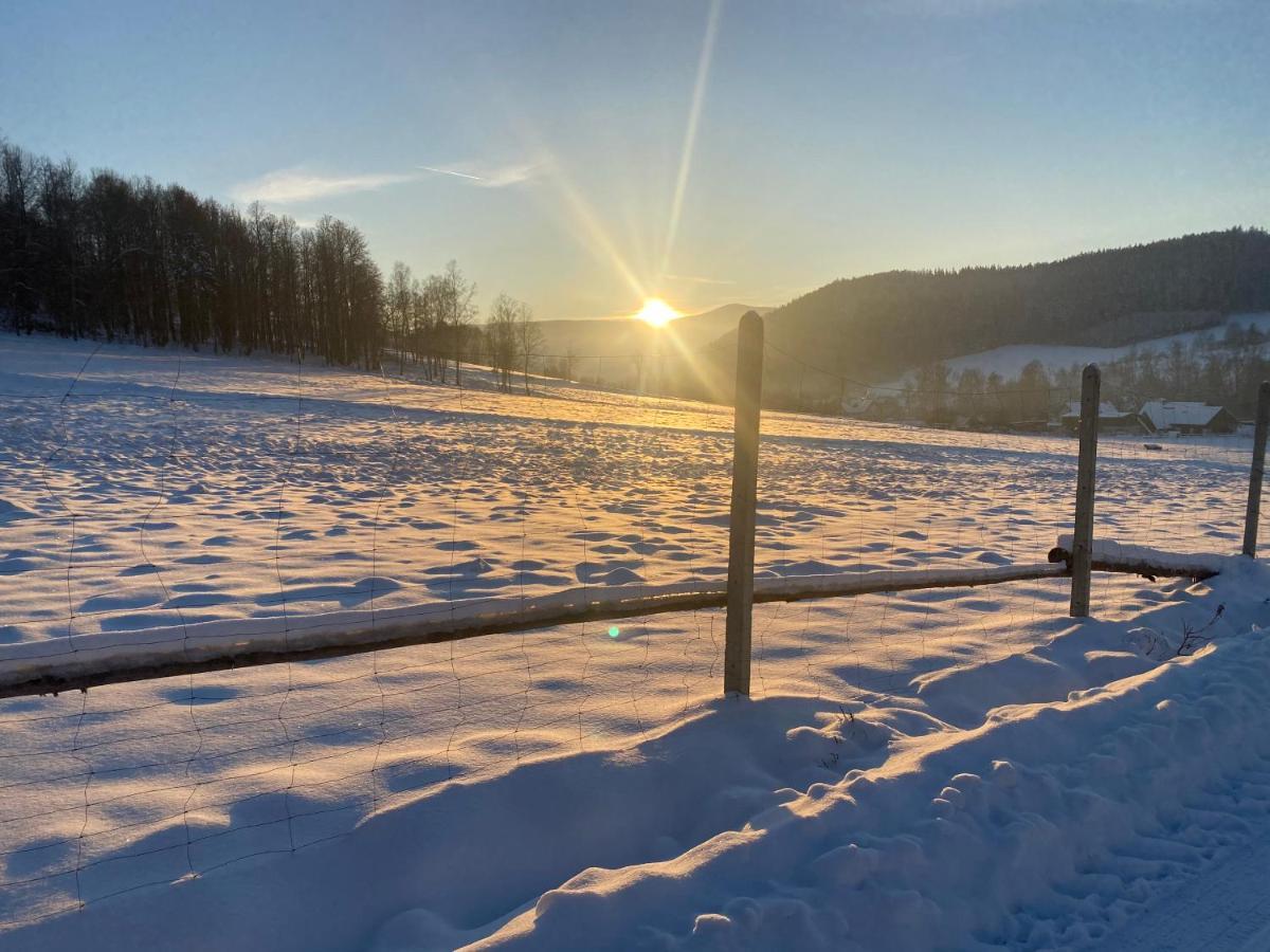 Domki Pod Lasem - Domek Brzozowy Stronie Śląskie Exterior foto
