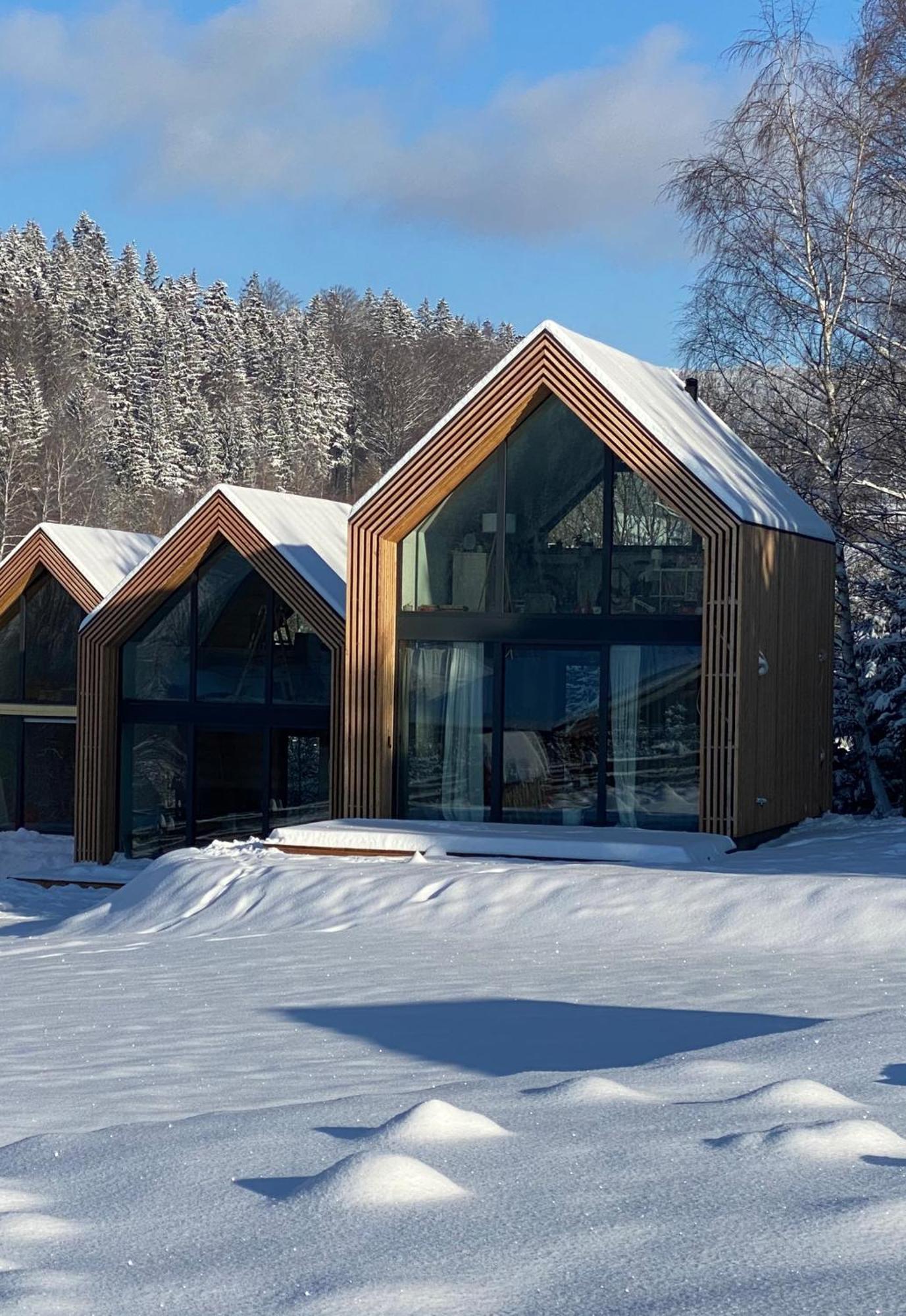 Domki Pod Lasem - Domek Brzozowy Stronie Śląskie Exterior foto