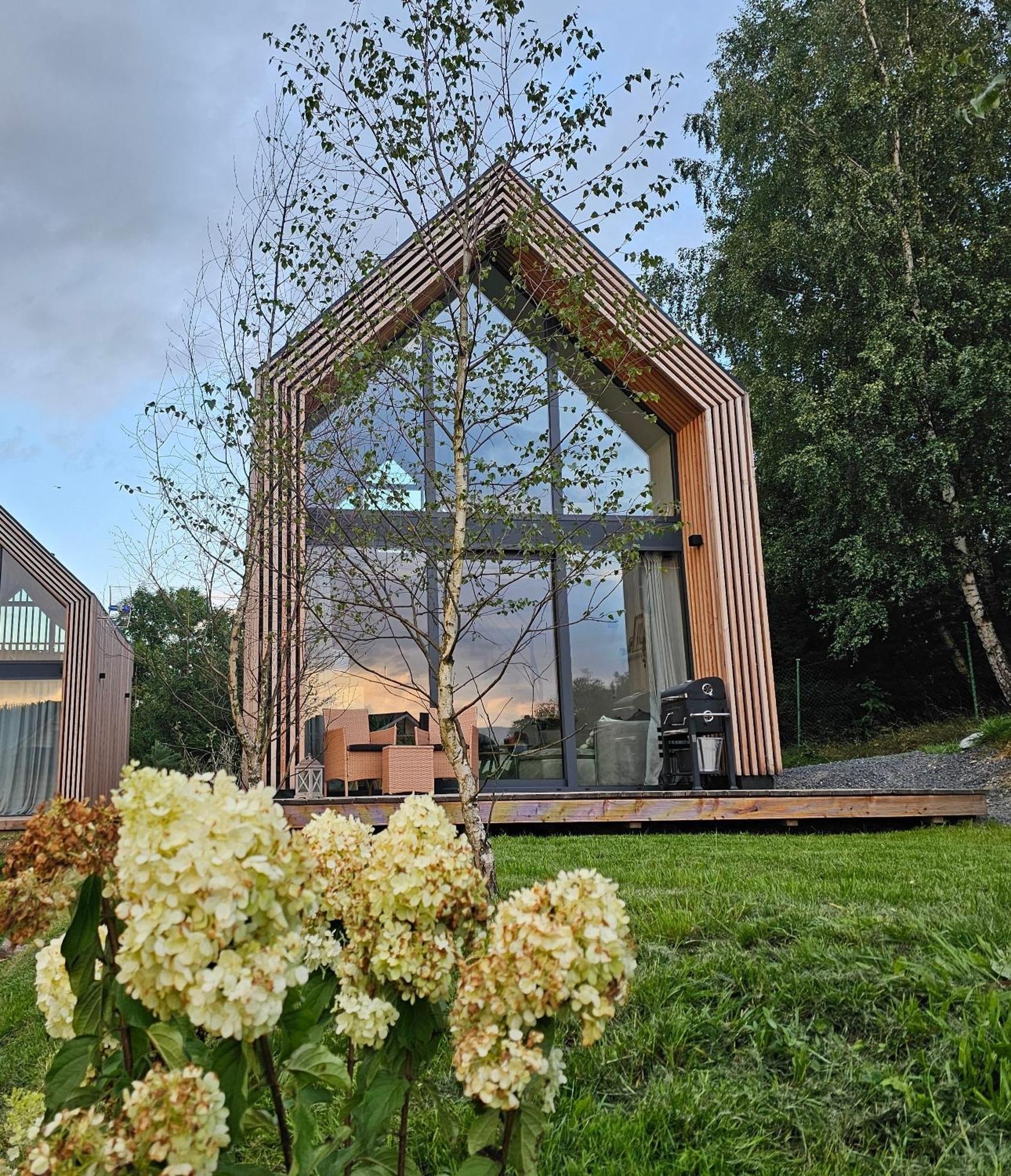 Domki Pod Lasem - Domek Brzozowy Stronie Śląskie Exterior foto