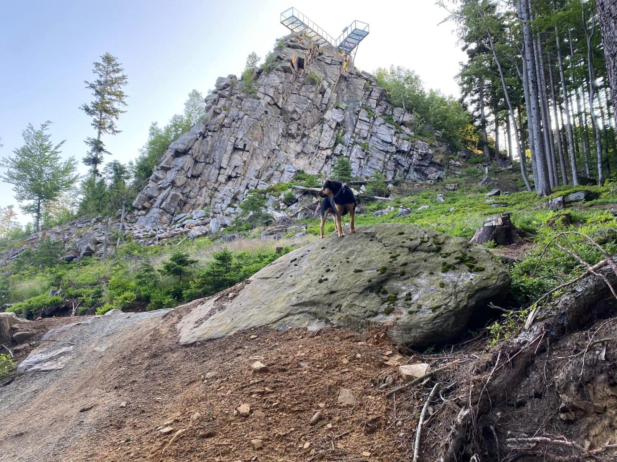 Domki Pod Lasem - Domek Brzozowy Stronie Śląskie Exterior foto